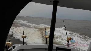 Jade gets you off, and catches you dinner!