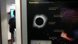 You spend a long day out with Lily.